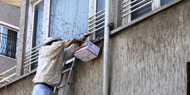 Bölgede alarm! Esnaf kapıları kapattı