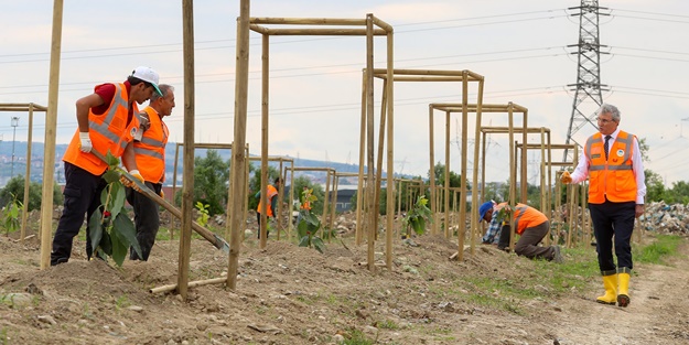 Sakarya’da bir ilk! Toprakla buluştu
