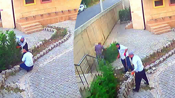 Sakarya'da cemaat namazdayken ağaç katliamı yapmışlardı! İfadeleri şoke etti…