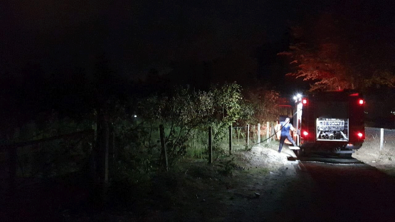 Sakarya’da fındıklıkta yangın! Ateş faciaya yol açıyordu