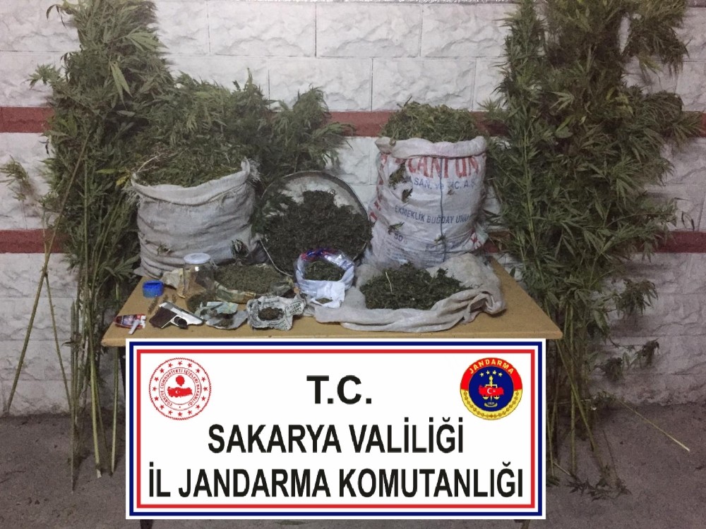 Sakarya’da jandarma operasyonunda 25 kilo esrar ele geçirildi: 3 gözaltı 