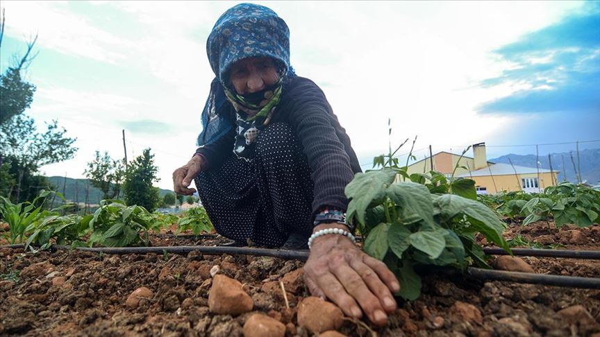 Sakarya'da modern sulamayla 325,5 milyon lira tasarruf sağlandı