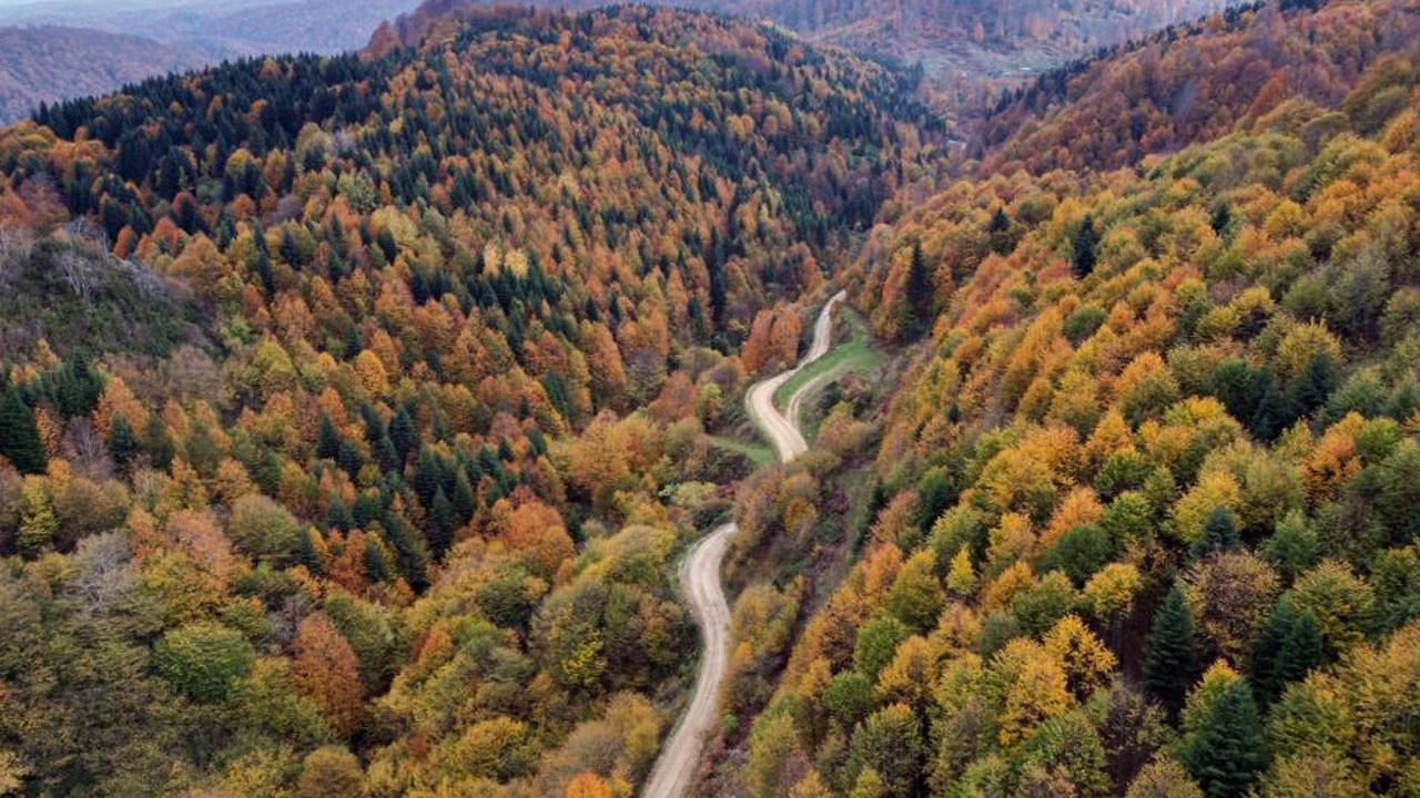 Sakarya’da sonbahar güzelliği mest ediyor