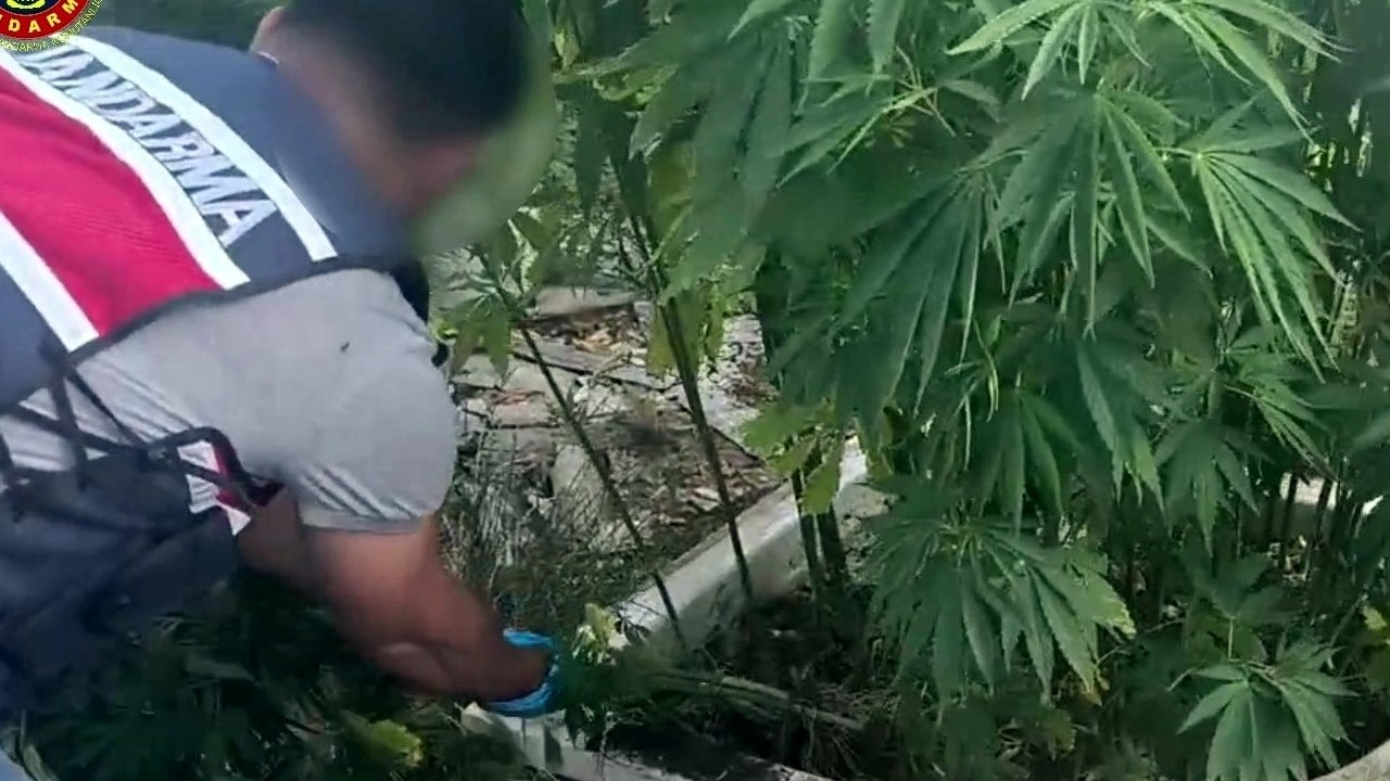 Sakarya’da uyuşturucu operasyonu