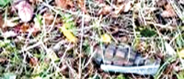 Sakarya’da patlamamış el bombası bulundu