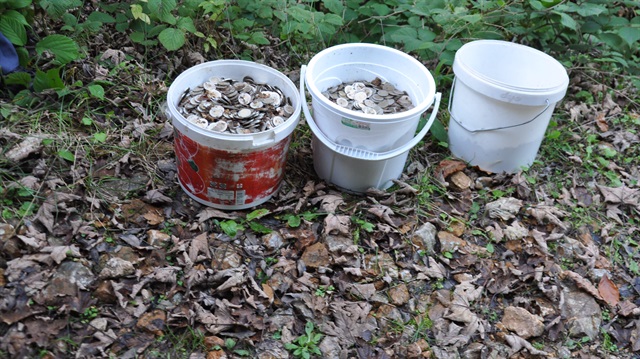 Sakarya'daki kova dolusu paraların ne olduğu ortaya çıktı