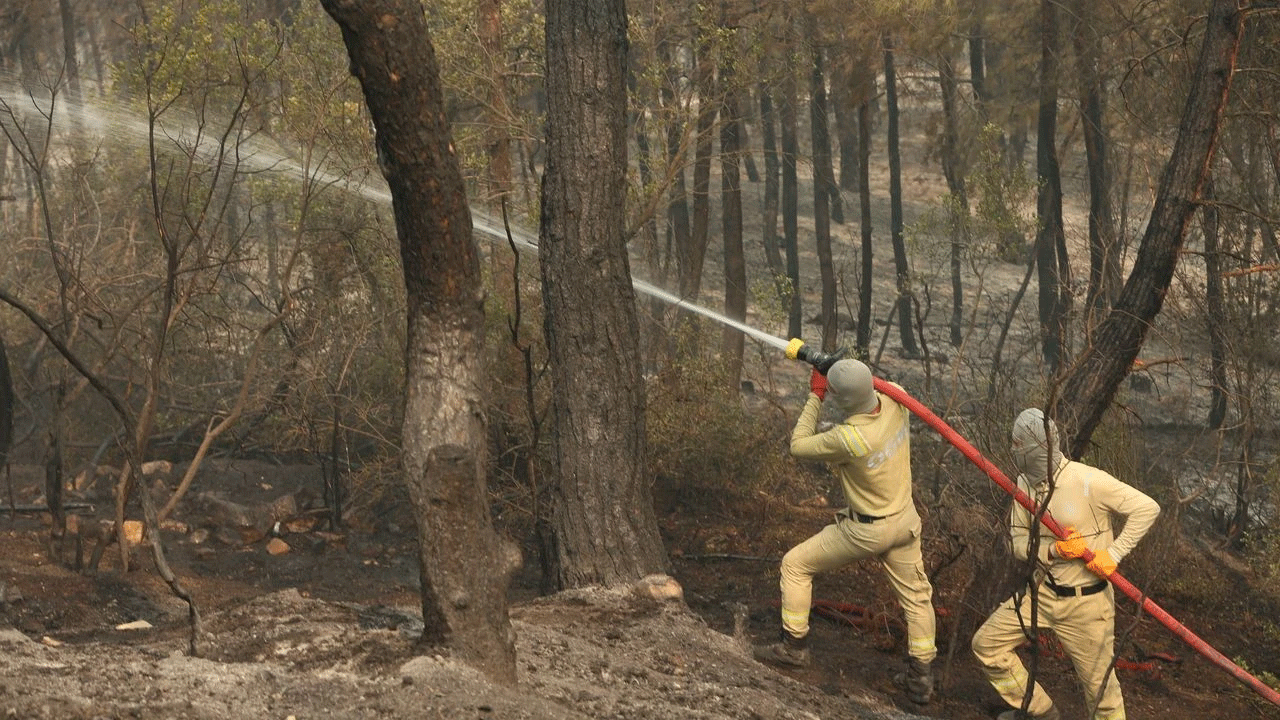 Sakarya'daki orman yangınında flaş gelişme