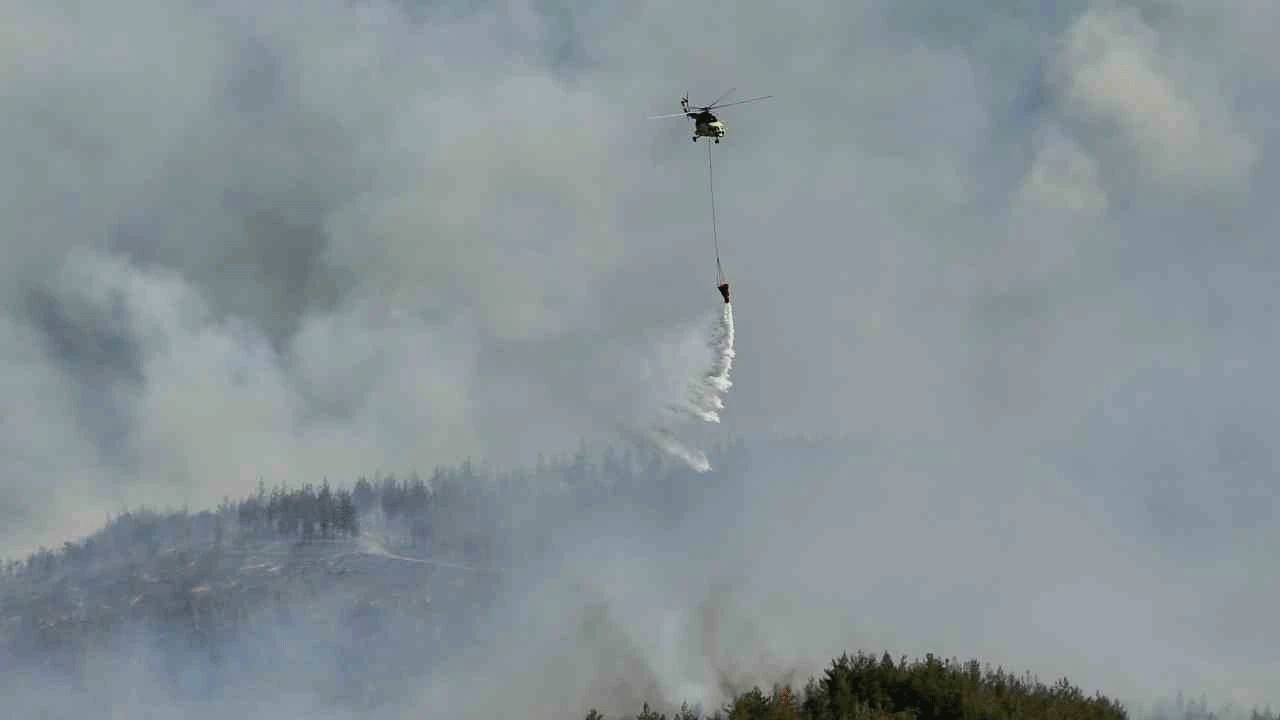 Sakarya'dan korkunç 24 saat! Havadan ve karadan müdahale ediliyor