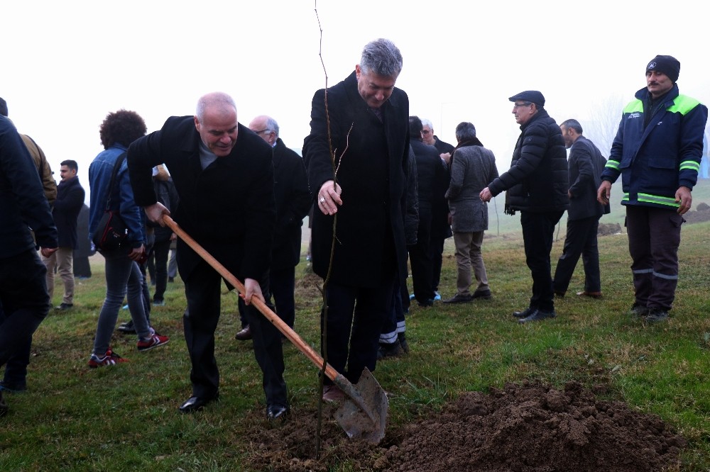 Sakaryalı gazeteciler hatıra ormanına 250 adet fidan dikti 