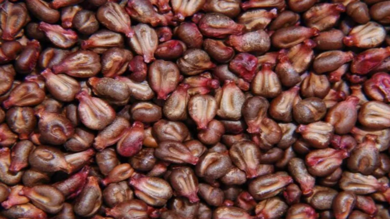 Sakın çöpe atmayın! Faydalarını duyunca ağzınız bir karış açık kalacak