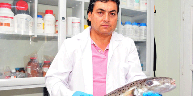 Sakın o balığı tüketmeyin!