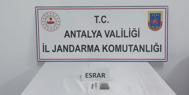 Sakız kutusundan çıkan şoke etti!