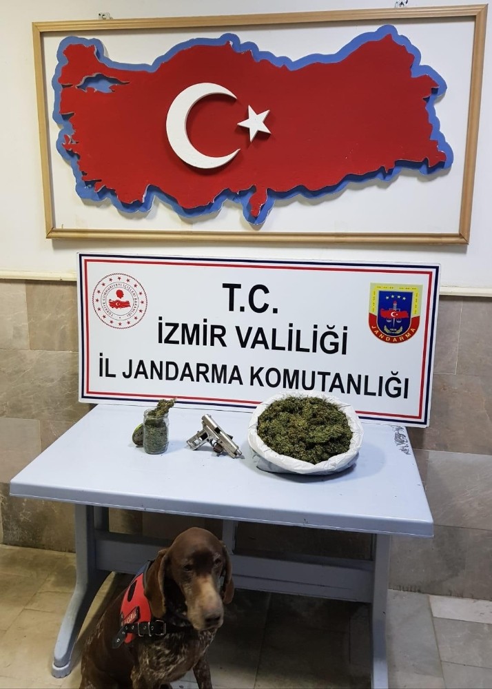 Saklanan uyuşturucuları narkotik köpeği ‘Varlı’ buldu 