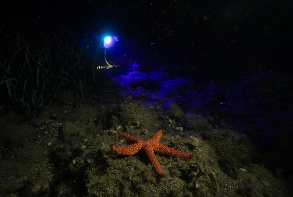 Saklı hazine geceleri bir başka güzel!