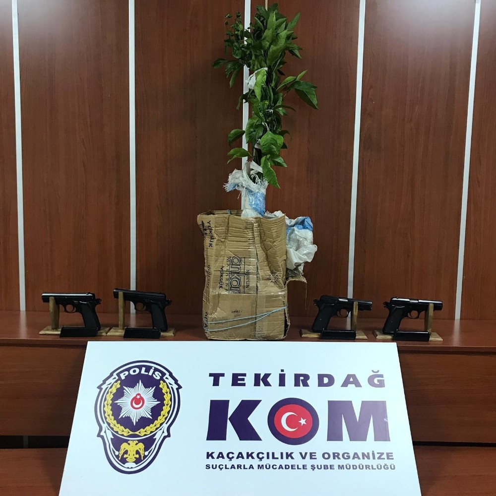 Saksıda kaçak silah 