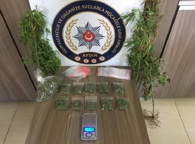 Saksıda yetiştirdiği uyuşturucuyu satarken yakalandı 