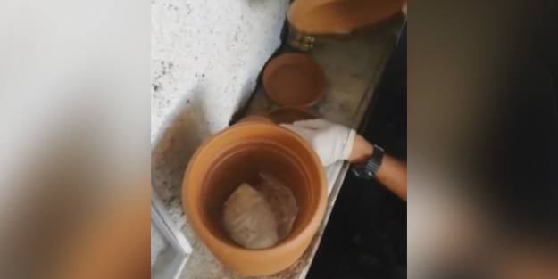 Saksının içinden çıkan şoke etti!