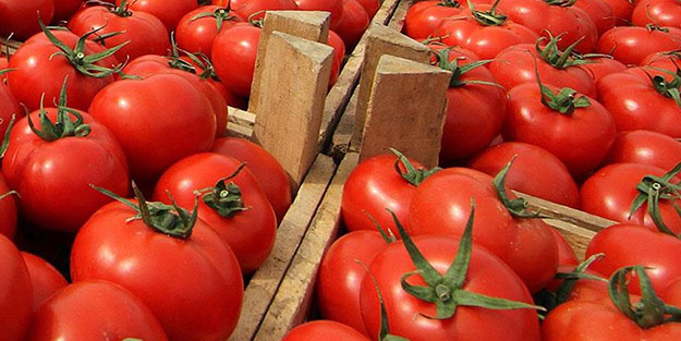 Salatalık ve domatesin adet fiyatını görenler şaşkına döndü