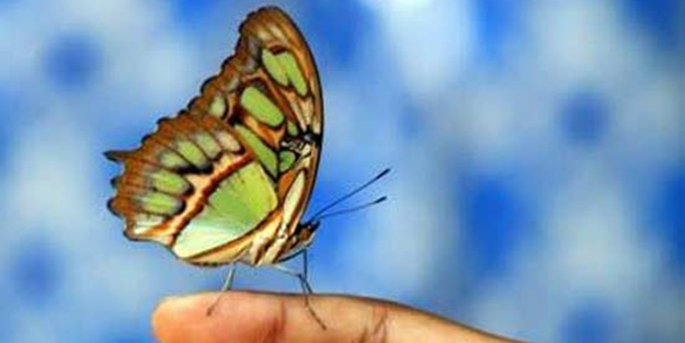 Salavat getirmenin 7 hikmeti - FOTO