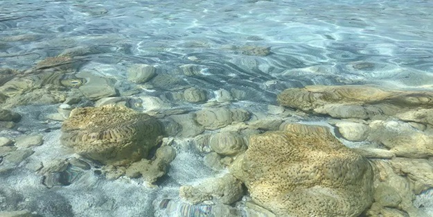 Salda Gölü için UNESCO'ya başvuru