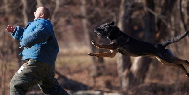 "Saldıran başıboş köpeğin 10 gün sonra aynı yere konulmasını hiçbir akıl ve mantık kabul etmez!"