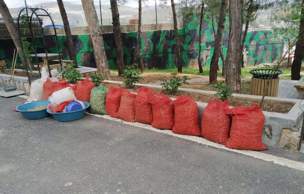 Salep soğanını toplayan şahsa 73 bin 747 lira para cezası kesildi 