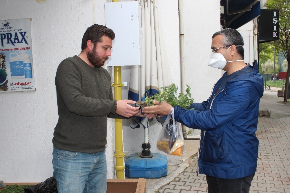 Salgın Muğla’da fide satışlarını arttırdı 