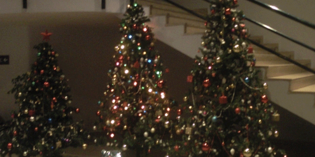 Salih Topçu Hocaefendi'den 'yılbaşı' uyarısı! 'Zımnen küfrü benimsemektir'