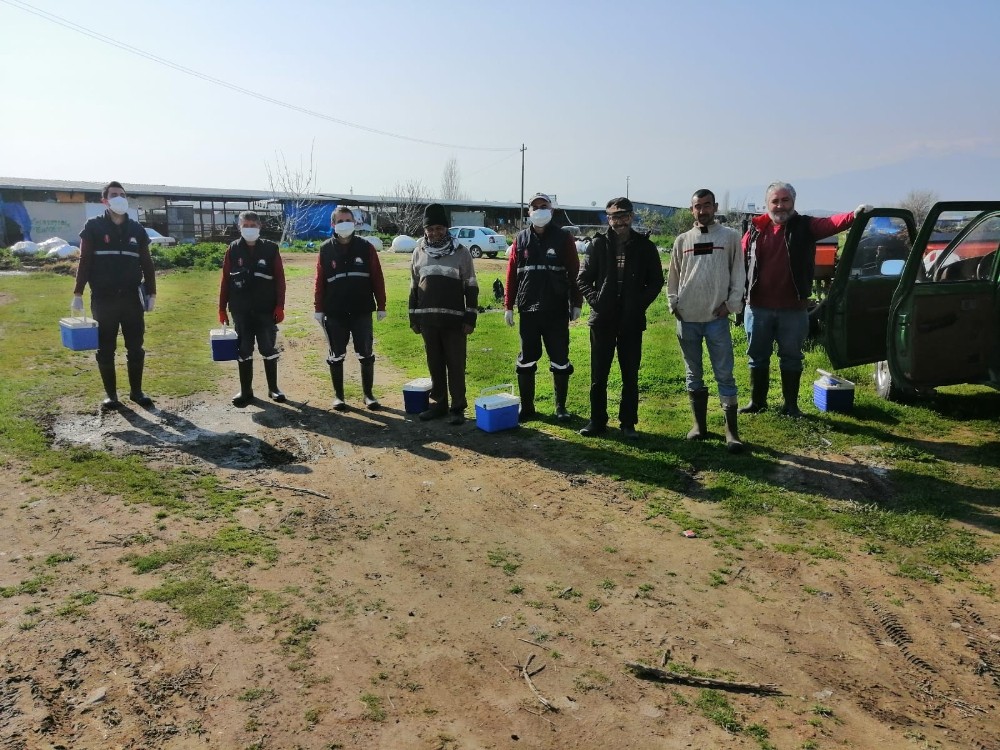 Salihli’de 40 bin hayvana aşı yapılacak 