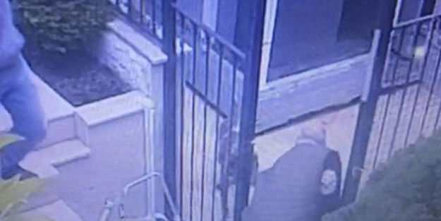 Salyangoz zehri dehşeti! 1 köpek telef oldu