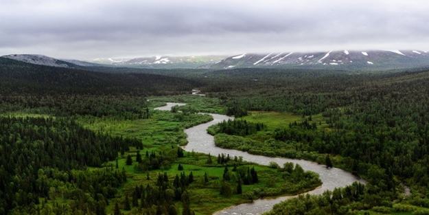 'Saman altından su yürütmek' deyimi nereden geliyor?