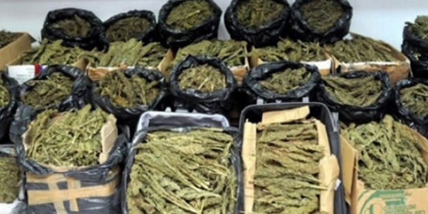 Saman çuvalları arasında uyuşturucu