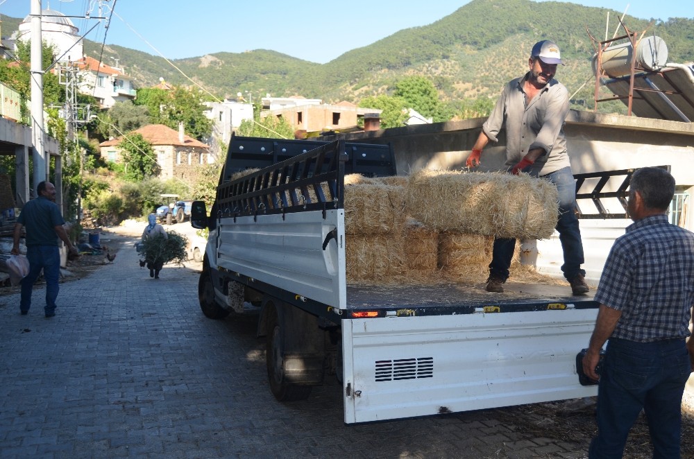Saman fiyatları el yakıyor 