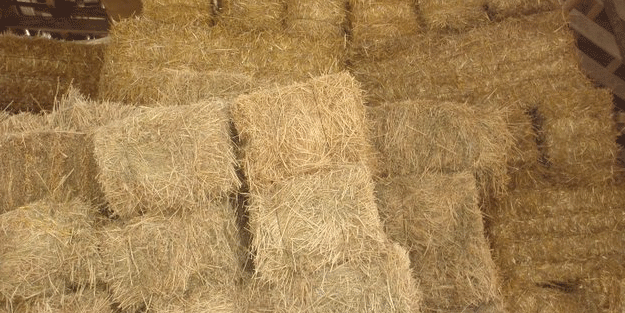 Saman fiyatları yükseldi