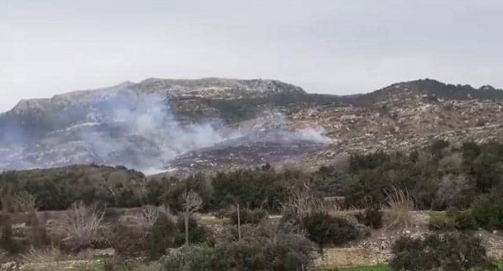 Samandağ’da bitki örtüsü yangını 