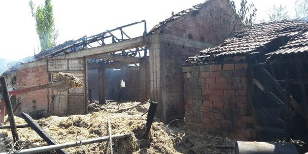 Samanlığın yandığını öğrenip yola çıktı: 3 yaralı