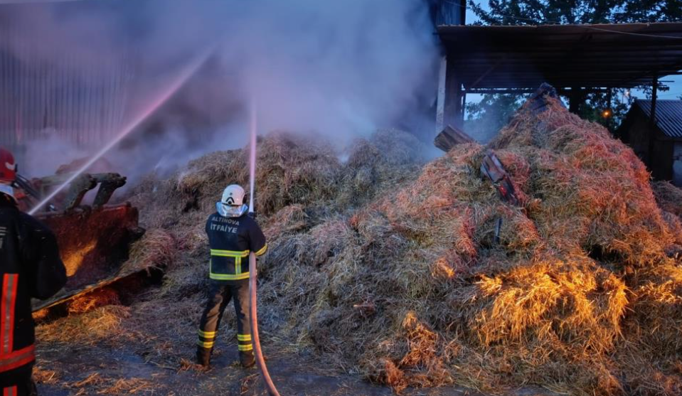 Samanlık yangını söndürüldü