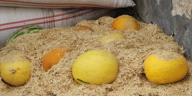 Samanlıkta muhafaza ediyorlar!