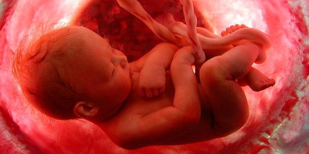 Sambur: Toplumsal cinsiyet eşitliği projesinde hedef İslam!