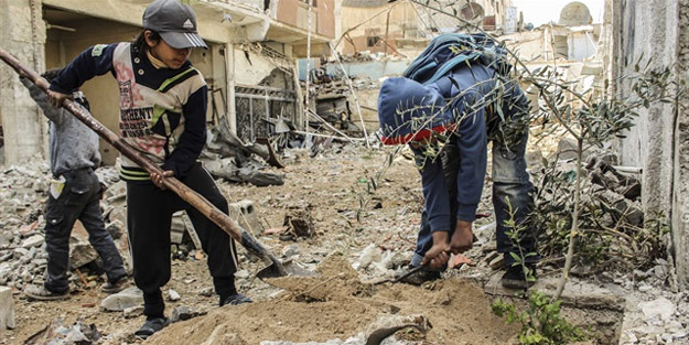 Şam'da 200 zeytin ağacı dikildi