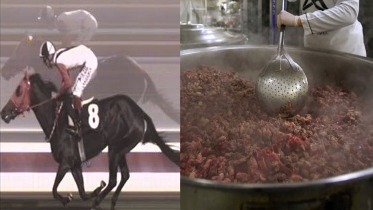 Şampiyon yarış atı CHP'nin eline düşünce nasıl pilav üstü kavurma oldu?