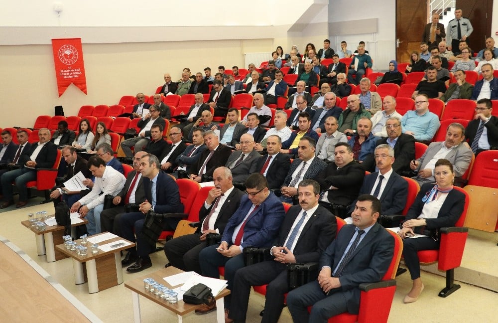 Samsun 133 bin ton çeltik üretimiyle Türkiye 2’incisi 