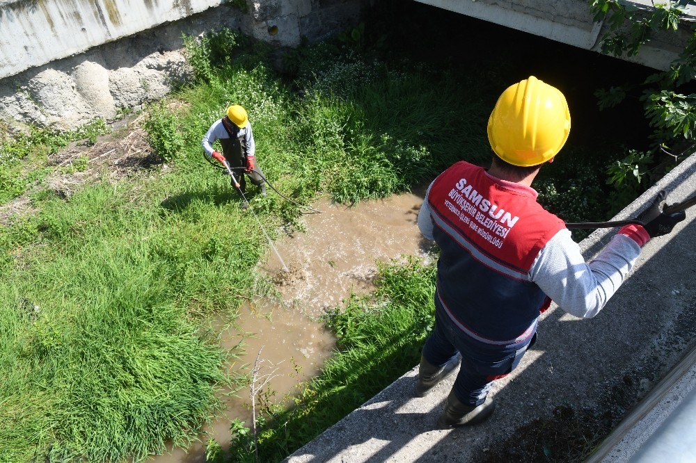 Samsun Büyükşehir’den ‘larva’ ilaçlaması 