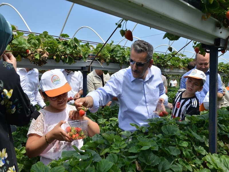 Samsun çiftçisine 2019’da 303 milyon TL destek 
