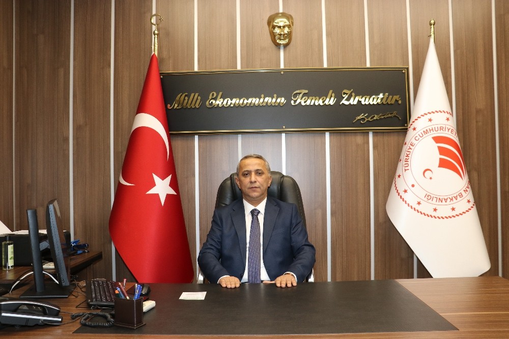 Samsun çiftçisine 4,5 milyon TL ‘ÇATAK’ desteği 