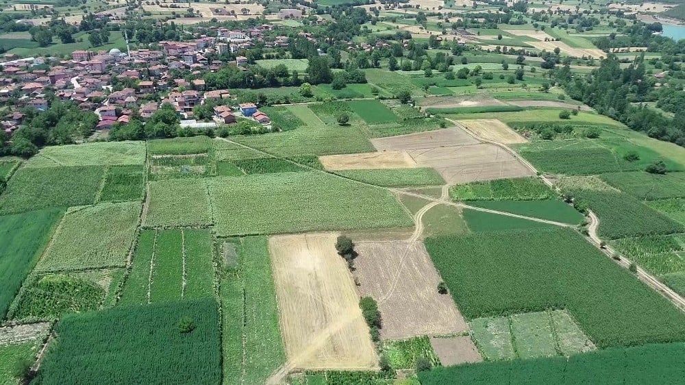Samsun, Türkiye’nin sebze ve meyve ambarı 