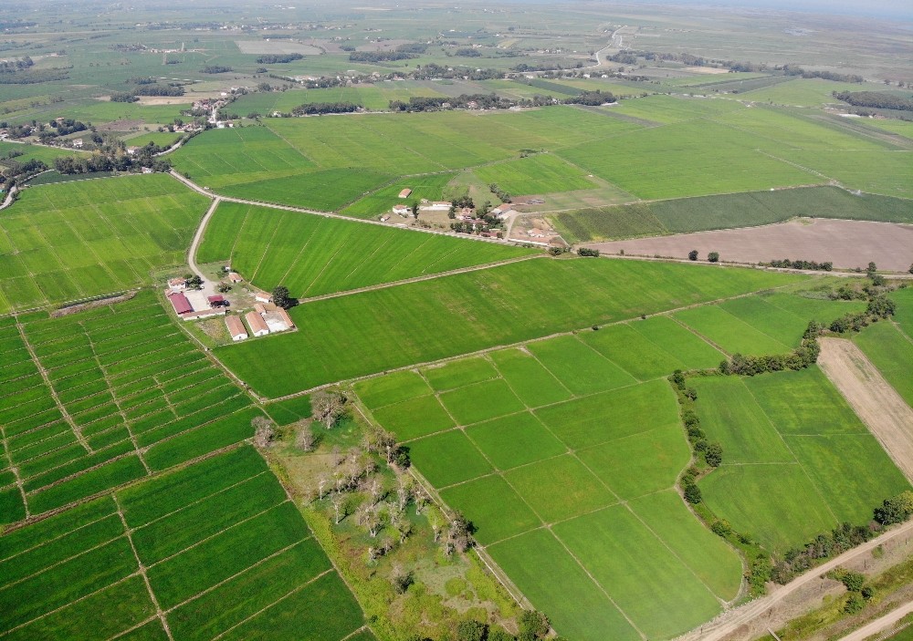 Samsun’da 2020’de 430 bin 170 dekar tarım arazisi daha suya kavuşacak 