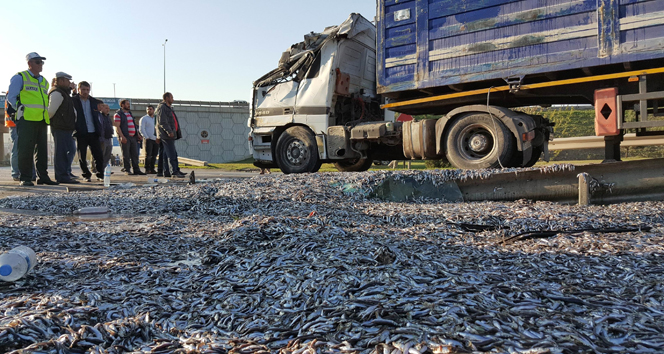 Samsun'da hamsi yüklü TIR devrildi: 1 yaralı