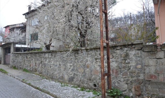 Samsun'da kar yağışı başladı