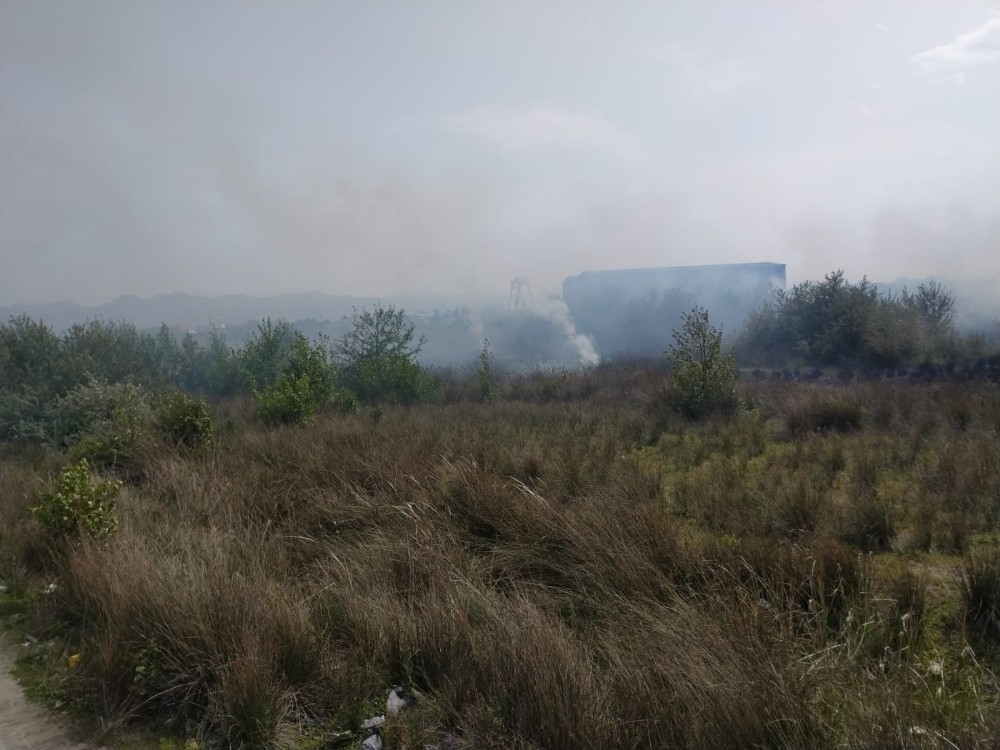 Samsun’da korkutan sazlık yangını 